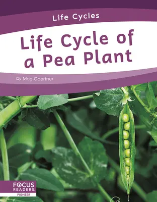 Lebenszyklus einer Erbsenpflanze - Life Cycle of a Pea Plant