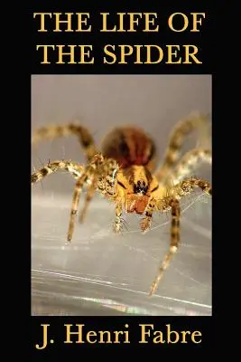 Das Leben der Spinne - The Life of the Spider