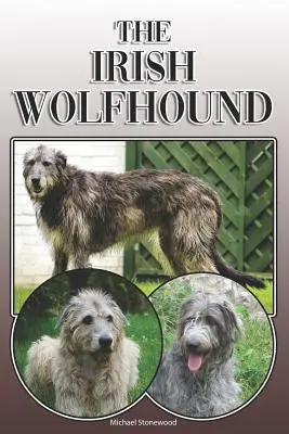 Der Irische Wolfshund: Ein komplettes und umfassendes Handbuch für den Besitzer: Kauf, Besitz, Gesundheit, Pflege, Training, Gehorsam, Verstehen und - The Irish Wolfhound: A Complete and Comprehensive Owners Guide To: Buying, Owning, Health, Grooming, Training, Obedience, Understanding and