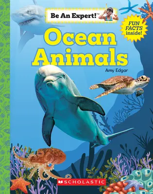 Meerestiere (Sei ein Experte!) (Taschenbuch) - Ocean Animals (Be an Expert!) (Paperback)