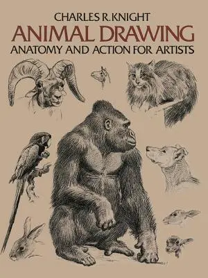 Tierzeichnung: Anatomie und Handlung für Künstler - Animal Drawing: Anatomy and Action for Artists