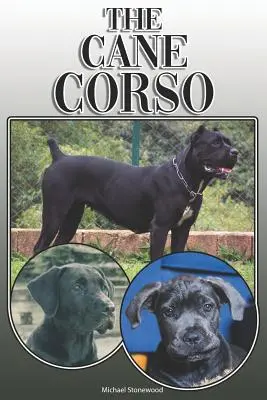 Der Cane Corso: Ein vollständiger und umfassender Leitfaden für Besitzer: Kaufen, Besitzen, Gesundheit, Pflege, Training, Gehorsam, Verstehen und - The Cane Corso: A Complete and Comprehensive Owners Guide To: Buying, Owning, Health, Grooming, Training, Obedience, Understanding and
