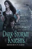 Dunkle und stürmische Ritter: Eine paranormale Fantasy-Anthologie - Dark and Stormy Knights: A Paranormal Fantasy Anthology