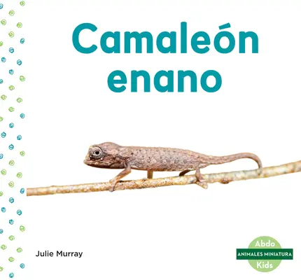 Camalen Enano (Blattchamäleon) - Camalen Enano (Leaf Chameleon)