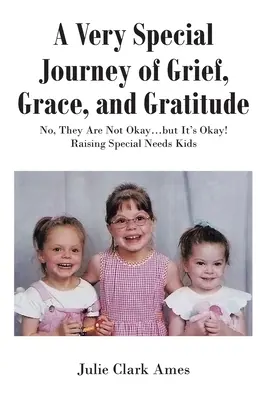 Eine ganz besondere Reise der Trauer, Gnade und Dankbarkeit: Nein, sie sind nicht okay... aber es ist okay! Erziehung von Kindern mit besonderen Bedürfnissen - A Very Special Journey of Grief, Grace, and Gratitude: No, They Are Not Okay...but It's Okay! Raising Special Needs Kids