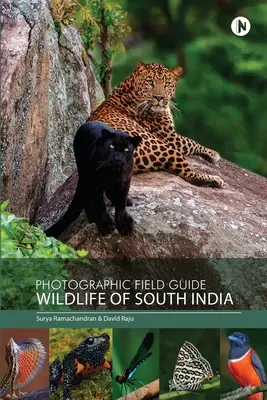 Fotografischer Feldführer - Wildtiere in Südindien - Photographic Field Guide - Wildlife of South India