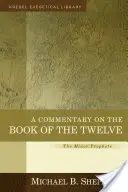 Ein Kommentar zum Buch der Zwölf: Die kleinen Propheten - A Commentary on the Book of the Twelve: The Minor Prophets