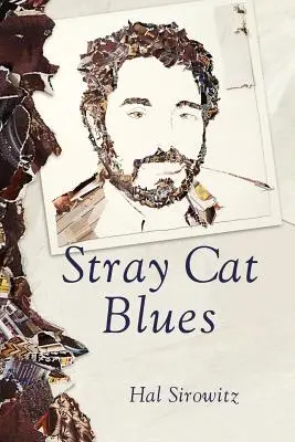 Der Blues der streunenden Katze - Stray Cat Blues