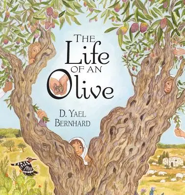 Das Leben einer Olive - The Life of an Olive