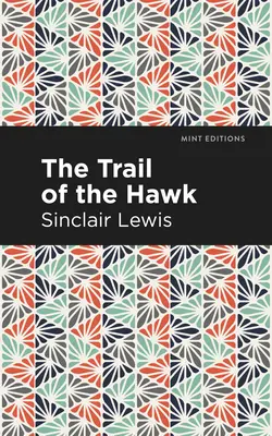 Die Spur des Falken - The Trail of the Hawk