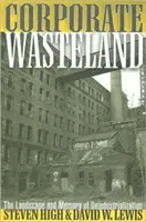 Ödland für Unternehmen: Die Landschaft und die Erinnerung an die Deindustrialisierung - Corporate Wasteland: The Landscape and Memory of Deindustrialization