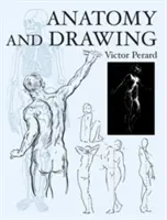 Anatomie und Zeichnen - Anatomy and Drawing