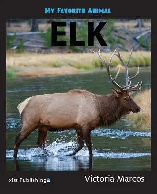 Mein Lieblingstier: Elch - My Favorite Animal: Elk