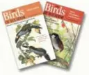 Die Vögel Ecuadors: Zweibändiges Set - The Birds of Ecuador: Two-Volume Set