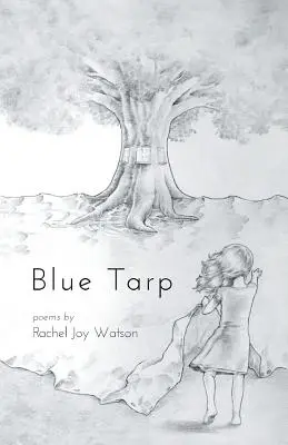 Blaue Plane - Blue Tarp