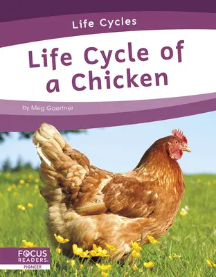 Lebenszyklus eines Huhns - Life Cycle of a Chicken