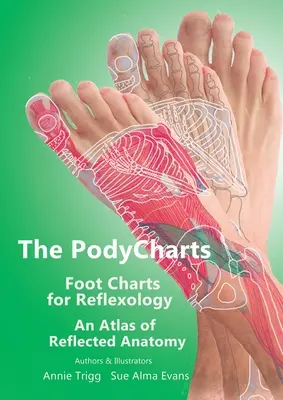 Die PodyCharts Fußdiagramme für die Reflexologie: Ein Atlas der reflektorischen Anatomie - The PodyCharts Foot Charts for Reflexology: An atlas of reflected anatomy