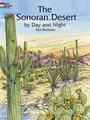 Die Sonoran-Wüste bei Tag und Nacht Malbuch - The Sonoran Desert by Day and Night Coloring Book