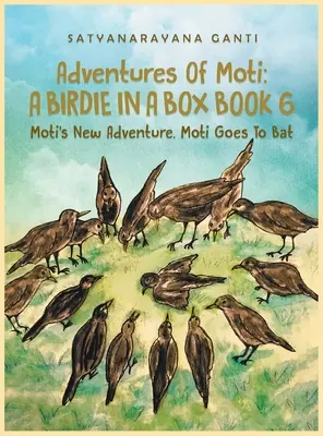 Adventures Of Moti A Birdie In A Box Book 6: Moti's New Adventure. Moti geht zum Schläger - Adventures Of Moti A Birdie In A Box Book 6: Moti's New Adventure. Moti Goes To Bat