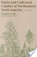 Einheimische und kultivierte Koniferen des nordöstlichen Nordamerikas: Ein Leitfaden - Native and Cultivated Conifers of Northeastern North America: A Guide