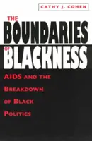 Die Grenzen des Schwarzseins: AIDS und der Zusammenbruch der schwarzen Politik - The Boundaries of Blackness: AIDS and the Breakdown of Black Politics