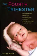 Das vierte Trimester: Verstehen, Schützen und Pflegen eines Säuglings in den ersten drei Monaten - The Fourth Trimester: Understanding, Protecting, and Nurturing an Infant Through the First Three Months