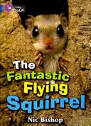 Das fantastische fliegende Eichhörnchen - The Fantastic Flying Squirrel