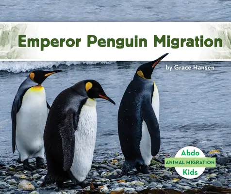 Wanderung des Kaiserpinguins - Emperor Penguin Migration