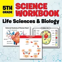 5. Klasse Naturwissenschaftliches Arbeitsbuch: Lebenswissenschaften & Biologie - 5th Grade Science Workbook: Life Sciences & Biology