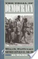 Die Bewährungsprobe der Demokratie: Das Wahlrecht für Schwarze und die Republikaner im Norden, 1860-1910 - The Trial of Democracy: Black Suffrage and Northern Republicans, 1860-1910