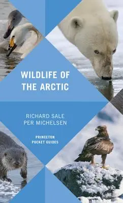 Die Tierwelt der Arktis - Wildlife of the Arctic