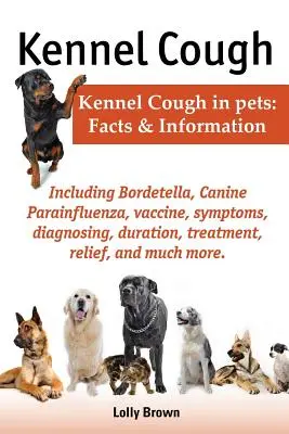 Zwingerhusten. Einschließlich Symptome, Diagnose, Dauer, Behandlung, Linderung, Bordetella, Canine Parainfluenza, Impfung und vieles mehr. Zwingerhusten bei P - Kennel Cough. Including Symptoms, Diagnosing, Duration, Treatment, Relief, Bordetella, Canine Parainfluenza, Vaccine, and Much More. Kennel Cough in P