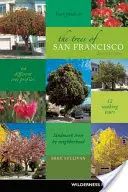 Die Bäume von San Francisco - The Trees of San Francisco