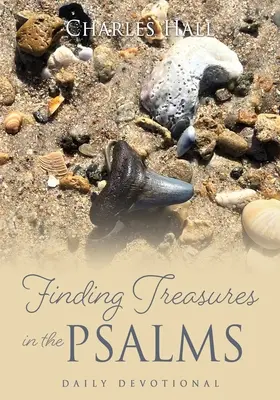 Schätze in den Psalmen finden: Tägliche Andacht - Finding Treasures in the Psalms: Daily Devotional