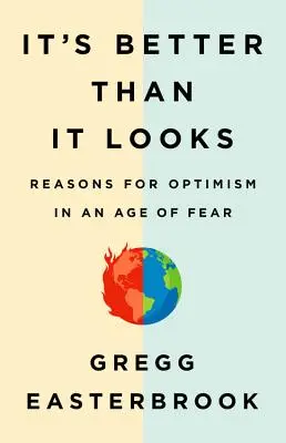 Es ist besser als es aussieht: Gründe für Optimismus in einem Zeitalter der Angst - It's Better Than It Looks: Reasons for Optimism in an Age of Fear