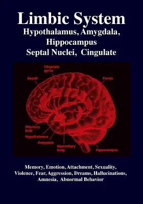 Limbisches System: Amygdala, Hypothalamus, Septale Kerne, Cingulum, Hippocampus: Emotionen, Gedächtnis, Sprache, Entwicklung, Evolution, Liebe - Limbic System: Amygdala, Hypothalamus, Septal Nuclei, Cingulate, Hippocampus: Emotion, Memory, Language, Development, Evolution, Love