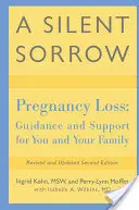 Ein stiller Schmerz: Schwangerschaftsverlust - Anleitung und Unterstützung für Sie und Ihre Familie - A Silent Sorrow: Pregnancy Loss-- Guidance and Support for You and Your Family