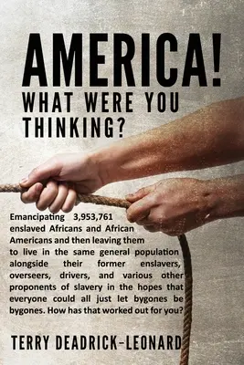 Amerika! Was hast du dir dabei gedacht? Die Emanzipation von 3.953.761 versklavten Afrikanern und Afroamerikanern und ihre anschließende Unterbringung in der gleichen allgemeinen Bevölkerung - America! What Were You Thinking?: Emancipating 3,953,761 enslaved Africans and African Americans and then leaving them to live in the same general pop