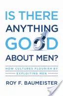 Gibt es irgendetwas Gutes an Männern?: Wie Kulturen durch die Ausbeutung von Männern florieren - Is There Anything Good about Men?: How Cultures Flourish by Exploiting Men