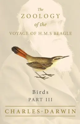 Vögel - Teil III - Die Zoologie der Reise der H.M.S. Beagle - Birds - Part III - The Zoology of the Voyage of H.M.S Beagle