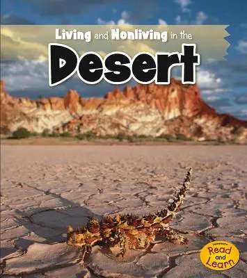 Leben und Nichtleben in der Wüste - Living and Nonliving in the Desert