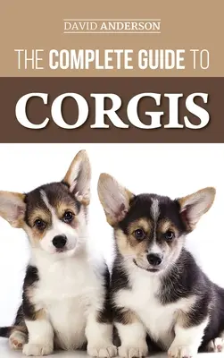 Der vollständige Leitfaden für Corgis: Alles, was Sie über die Hunderassen Pembroke Welsh und Cardigan Welsh Corgi wissen müssen - The Complete Guide to Corgis: Everything to Know About Both the Pembroke Welsh and Cardigan Welsh Corgi Dog Breeds