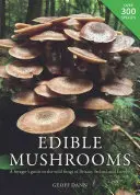 Essbare Pilze: Ein Führer für Pilzsammler zu den wilden Pilzen Großbritanniens, Irlands und Europas - Edible Mushrooms: A Forager's Guide to the Wild Fungi of Britain, Ireland and Europe