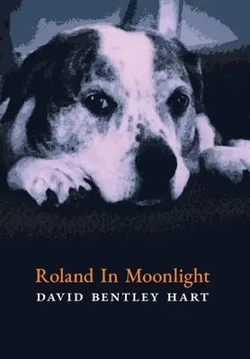 Roland im Mondschein - Roland in Moonlight