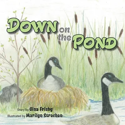 Unten auf dem Teich - Down on the Pond