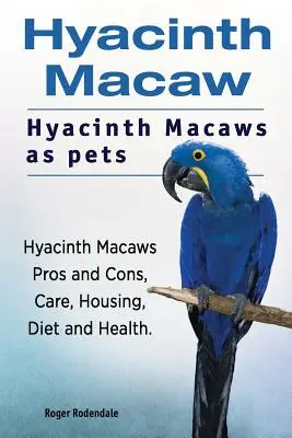 Hyazinth-Ara. Hyazinth-Aras als Haustiere. Hyazinth-Aras Pro und Contra, Pflege, Unterbringung, Ernährung und Gesundheit. - Hyacinth Macaw. Hyacinth Macaws as pets. Hyacinth Macaws Pros and Cons, Care, Housing, Diet and Health.