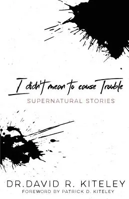 Ich wollte keinen Ärger machen: Übernatürliche Geschichten - I Didn't Mean to Cause Trouble: Supernatural Stories