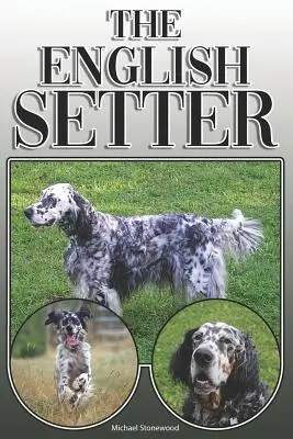 Der English Setter: Ein komplettes und umfassendes Handbuch für den Besitzer: Kaufen, Besitzen, Gesundheit, Pflege, Training, Gehorsam, Verstehen und - The English Setter: A Complete and Comprehensive Owners Guide To: Buying, Owning, Health, Grooming, Training, Obedience, Understanding and