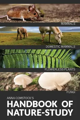 Das Handbuch der Naturkunde in Farbe - Säugetiere und blütenlose Pflanzen - The Handbook Of Nature Study in Color - Mammals and Flowerless Plants