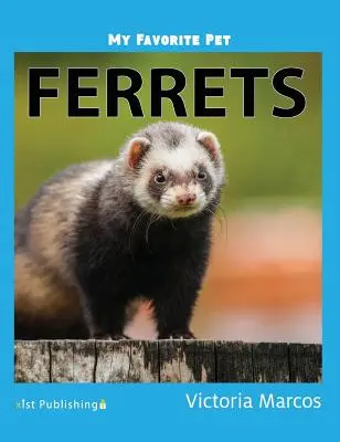 Mein liebstes Haustier: Frettchen - My Favorite Pet: Ferrets